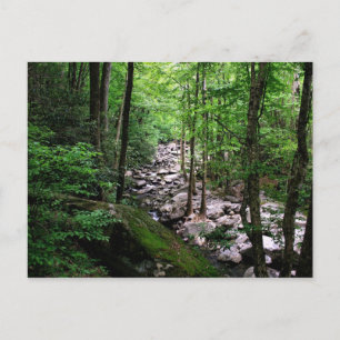 Carte Postale Parc national des Great Smoky Mountains