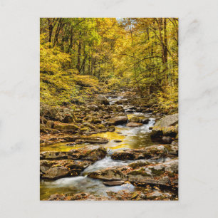 Carte Postale Parc national des Great Smoky Mountains. Big Creek