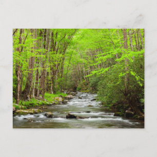 Carte Postale Parc national des Great Smoky Mountains Caroline d