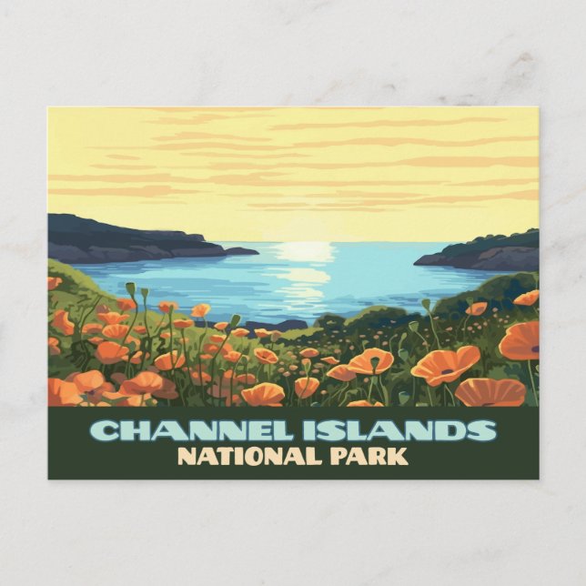 Carte Postale Parc national des îles Channel Californie Contreba (Devant)