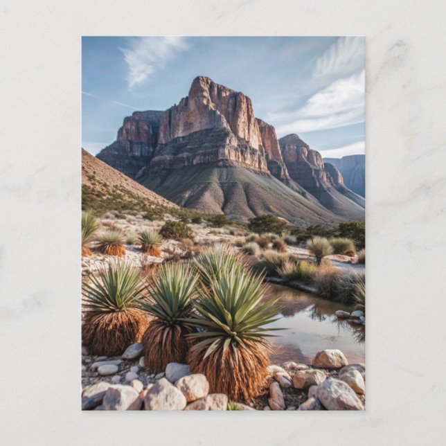 Carte Postale Parc national des Monts Guadalupe Voyage (Devant)