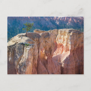 Carte Postale Parc national du Bryce Canyon
