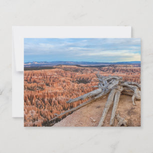 Carte Postale Parc national du canyon Bryce à Sunrise