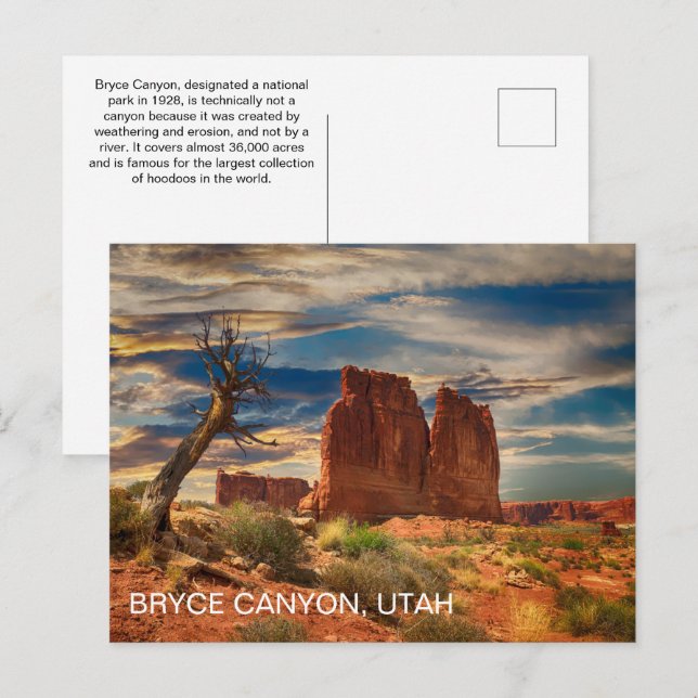 Carte Postale Parc national du canyon de l'Utah Bryce (Devant / Derrière)