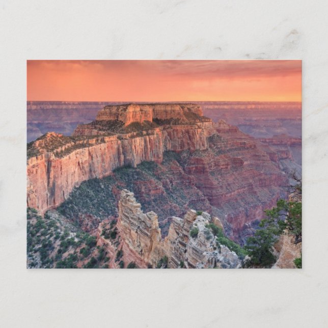 Carte Postale Parc national du Grand Canyon, Arizona (Devant)