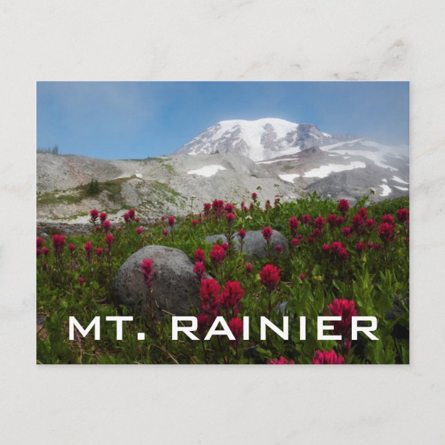 Carte Postale Parc national du Mont Rainier, Mont Rainier 1 (Devant)