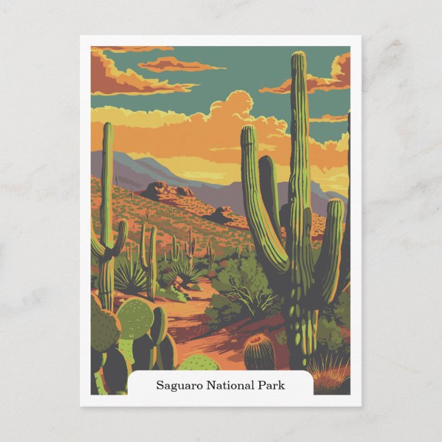 Carte Postale Parc national du Saguaro, Arizona USA (Devant)