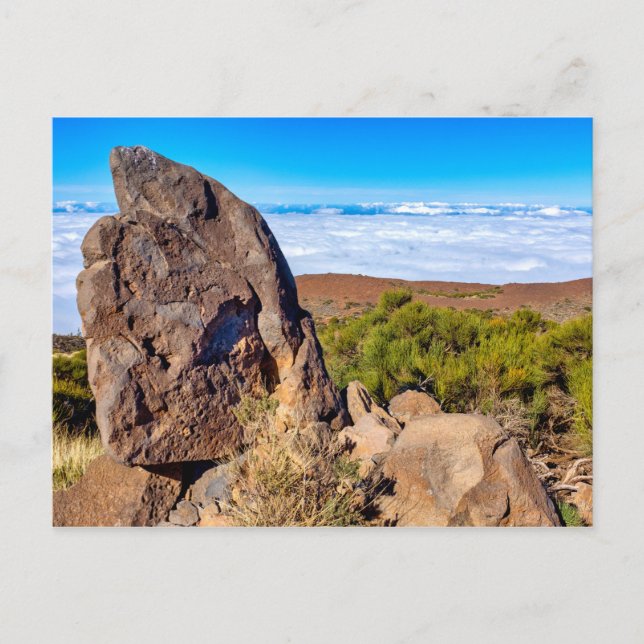 Carte Postale Parc national du Teide (Devant)