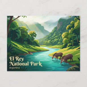 Carte Postale Parc national El Rey Argentine