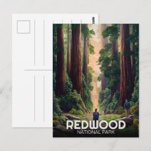 Carte Postale Parc national et d'État de Redwood, Californie côt