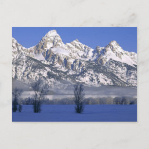 Carte Postale PARC NATIONAL GRAND TETON, WYOMING. ÉTATS-UNIS. Br