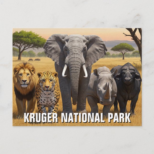 Carte Postale Parc national Kruger Afrique du Sud Voyage (Devant)