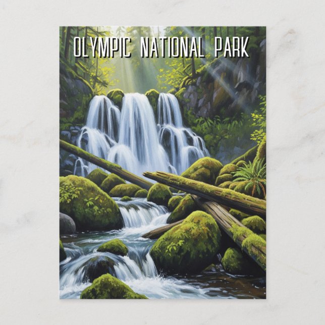 Carte Postale Parc national Olympique forêt pluviale de Hoh casc (Devant)