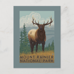 Carte Postale Parc national Rainier, WashingtonElk Scene