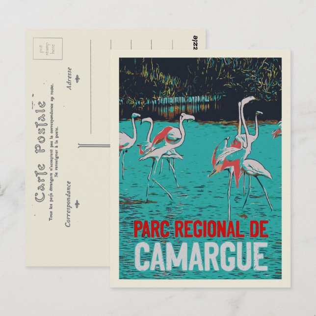 Carte Postale Parc régional de Camargue, France, flamants roses (Devant / Derrière)