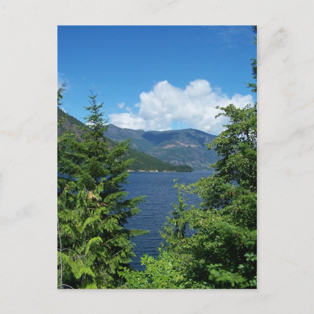 Carte Postale Parc Strathcona (Devant)