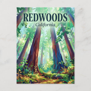 Carte Postale Parcs nationaux et d'État de Redwood Californie