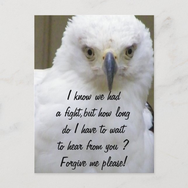 Carte Postale Pardonne-moi_ (Devant)