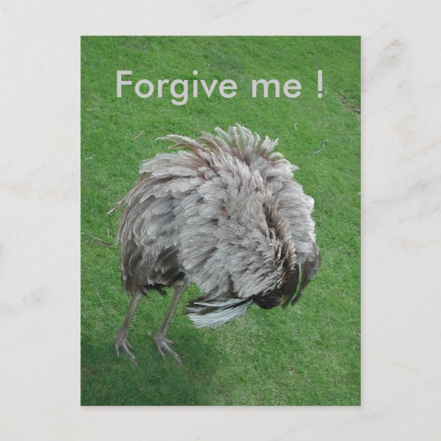 Carte Postale Pardonne-moi ! (Devant)