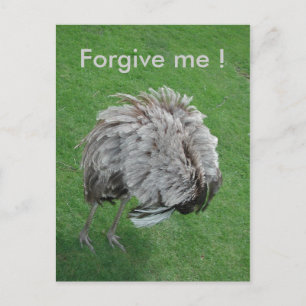 Carte Postale Pardonne-moi !