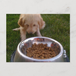 Carte Postale Parfois, il est difficile de répondre à vos attent