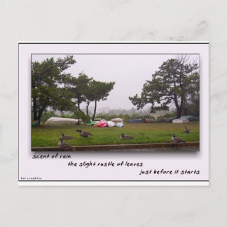 Carte Postale Parfum de pluie