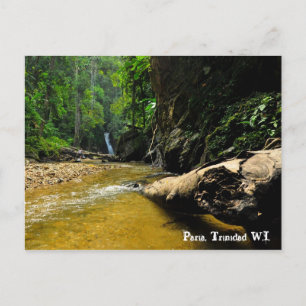 Carte Postale Paria River and Waterfall, Trinidad W.I.