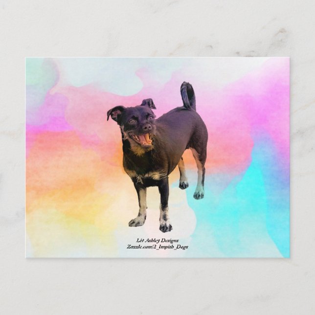 Carte postale Paris Disco (Devant)