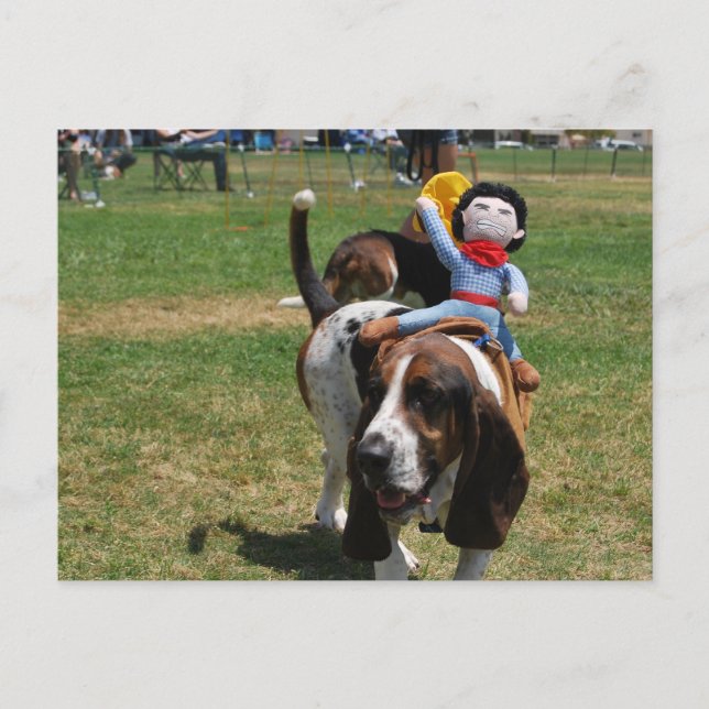 Carte Postale Park the Basset Hound (Devant)