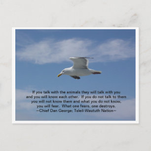 Carte Postale Parlez avec les animaux