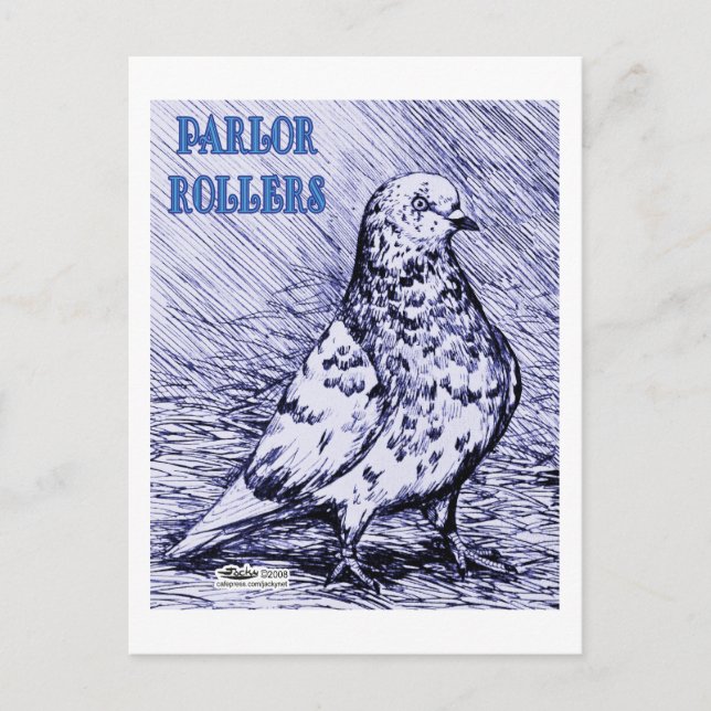 Carte Postale Parlon Roller Pigeon (Devant)
