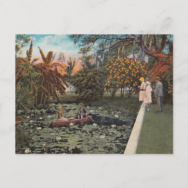 Carte Postale Parmi les lillies et palmiers de Floride (Devant)