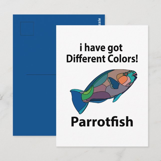 Carte Postale Parrotfish Funny (Devant / Derrière)