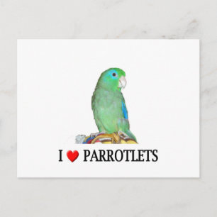 Carte Postale Parrotlets "coeur"