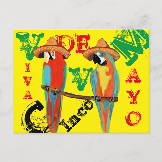 CARTE POSTALE PARROTS (Devant)