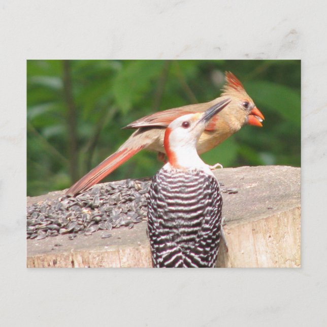 Carte postale Partage de semences (Devant)