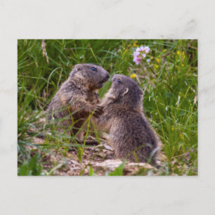 Carte postale Partenaires Sparing