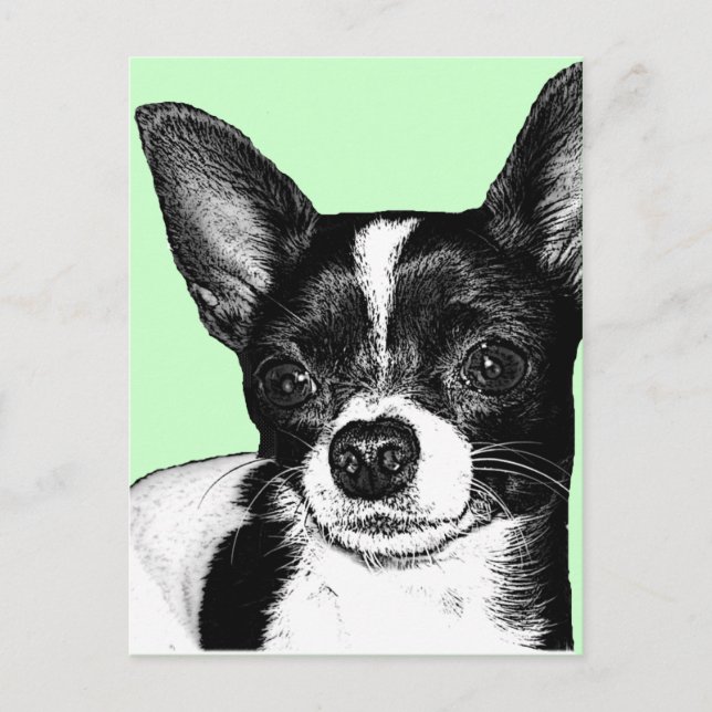 Carte Postale Parti Chihuahua (Devant)