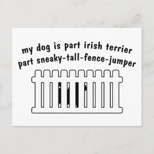 Carte Postale Partie irlandaise Terrier partie clôture-jumper