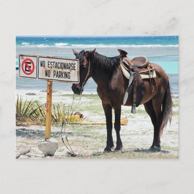 Carte Postale Pas de parking (Devant)