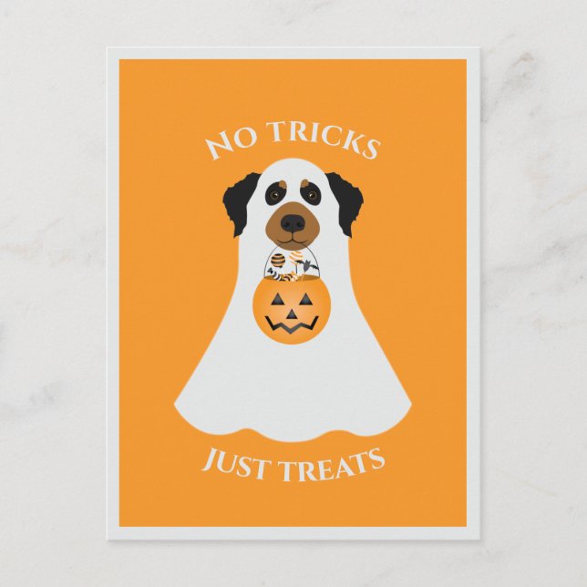 Carte Postale Pas de traces juste traiter le chien d'Halloween (Devant)