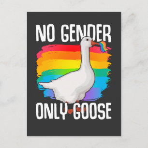Carte Postale Pas d'oie de genre LGBT Drapeau gay Lesbian Pride