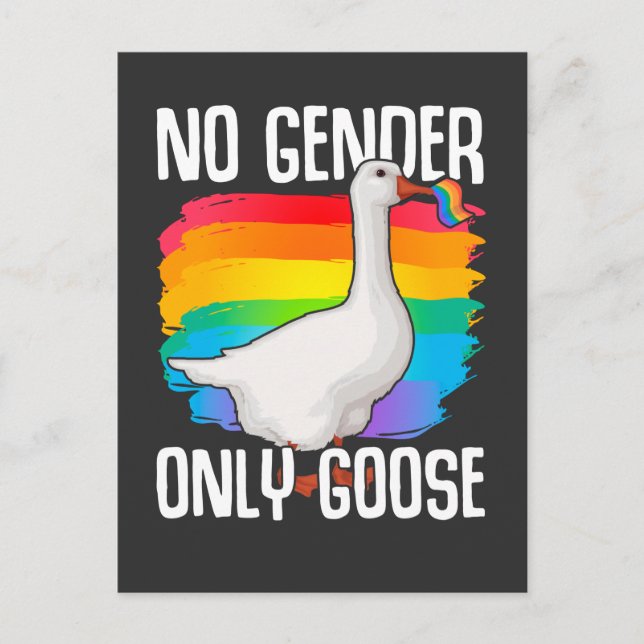 Carte Postale Pas d'oie de genre LGBT Drapeau gay Lesbian Pride (Devant)