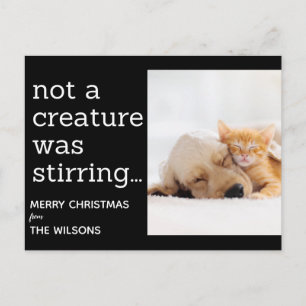 Carte Postale pas une créature ne remuait noires photo Noël