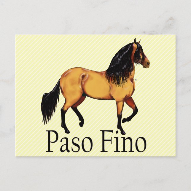 Carte Postale Paso Horse Buckskin Paso Fino (Devant)