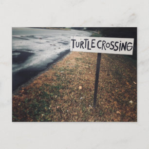 Carte Postale passage des tortues