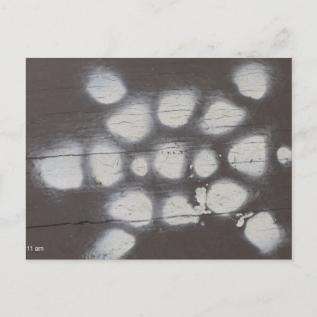 Carte Postale passage des tortues (Devant)