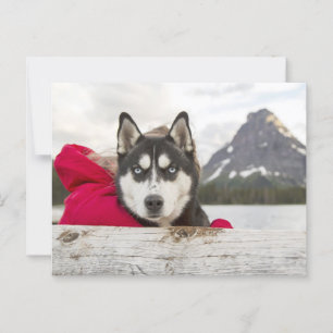 Carte Postale Passage du lac Husky Mountains