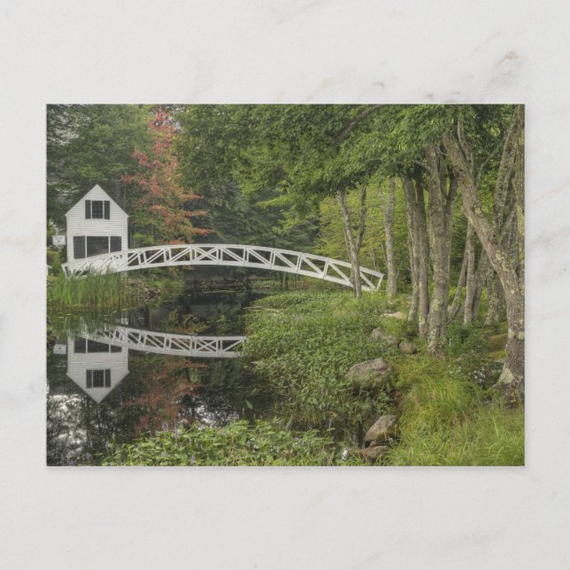 Carte Postale Passerelle blanche, Somesville, Mont Desert (Devant)