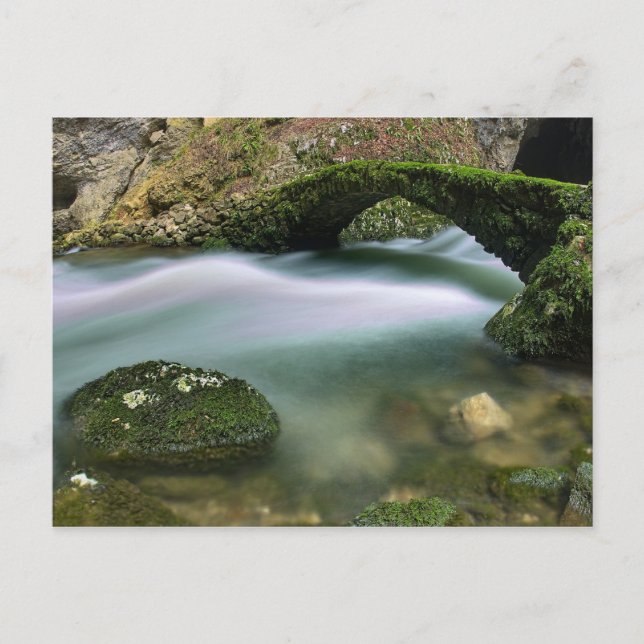 Carte Postale Passerelle sur l'eau trouble (Devant)